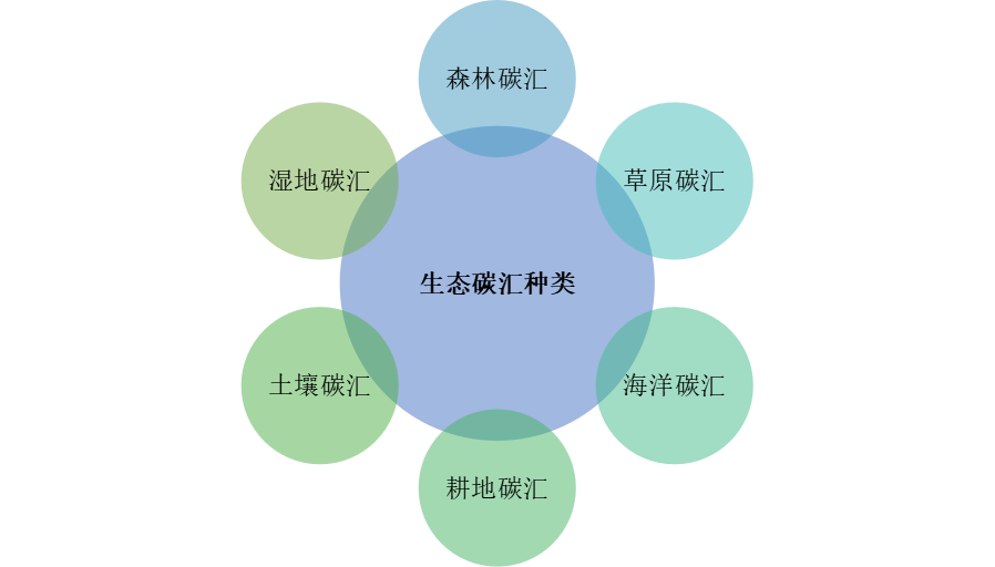 碳汇知识—上篇